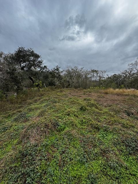 244 Rabbit Trl, Lake Jackson, TX 77566 - photo 11