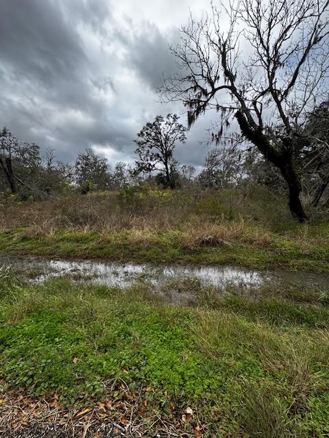 244 Rabbit Trl, TX, 77566 land for sale