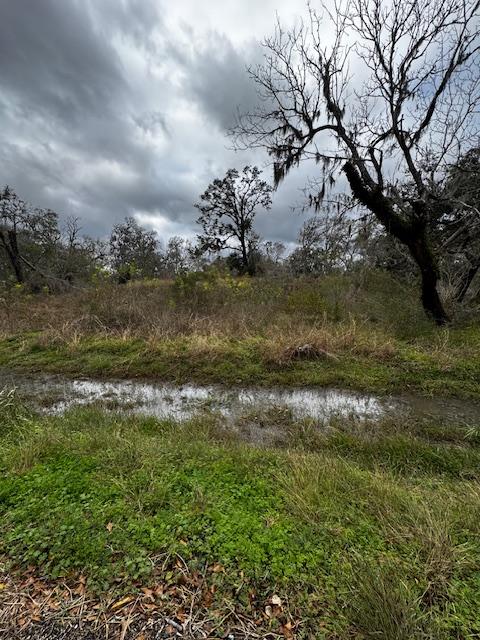 244 Rabbit Trl, Lake Jackson, TX 77566 - photo 1