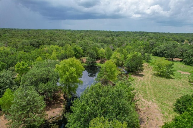 TRACT1 Jones Rd, College Station, TX 77845 - photo 18