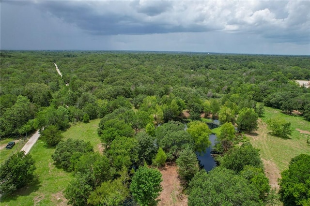 TRACT1 Jones Rd, College Station, TX 77845 - photo 13