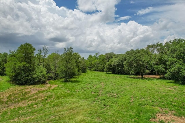TRACT1 Jones Rd, College Station, TX 77845 - photo 5