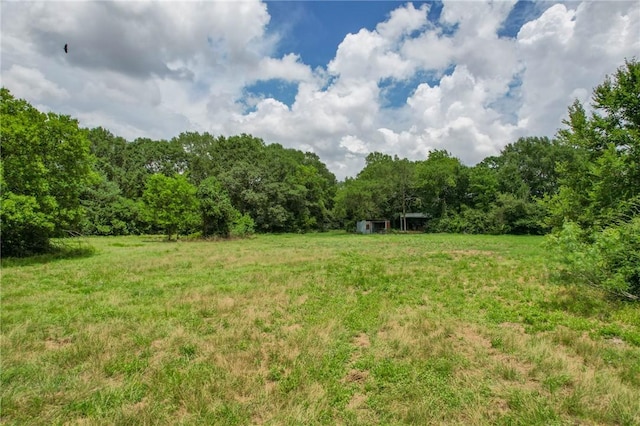 TRACT1 Jones Rd, College Station, TX 77845 - photo 3