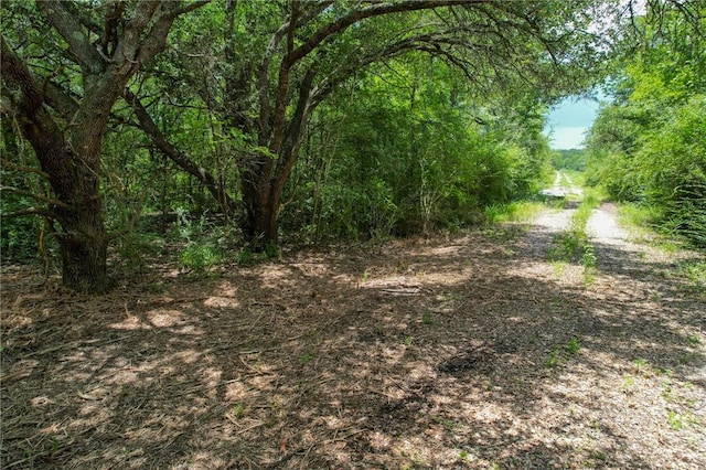 TRACT1 Jones Rd, College Station, TX 77845 - photo 10