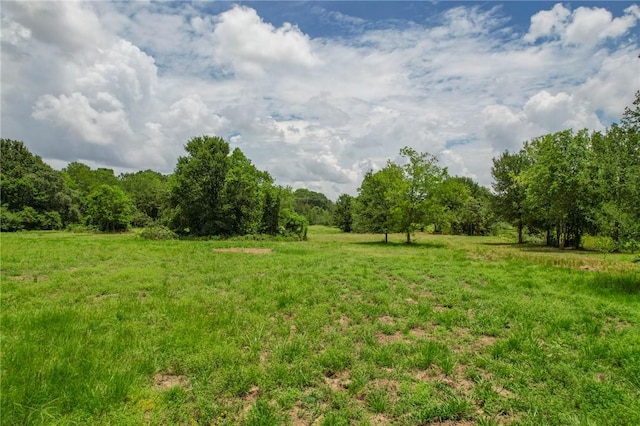 TRACT1 Jones Rd, College Station, TX 77845 - photo 11