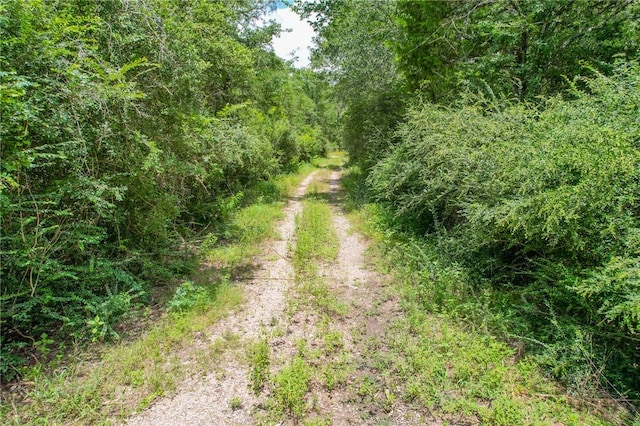 TRACT1 Jones Rd, College Station, TX 77845 - photo 17