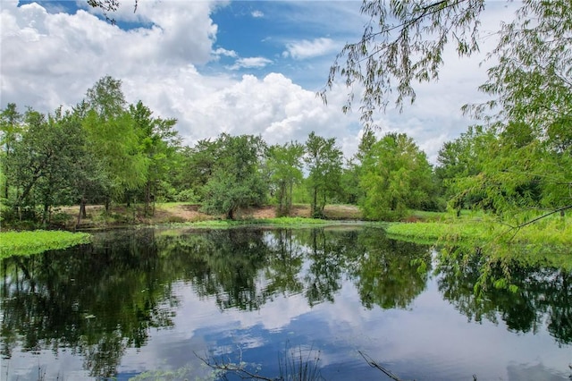 TRACT1 Jones Rd, College Station, TX 77845 - photo 2