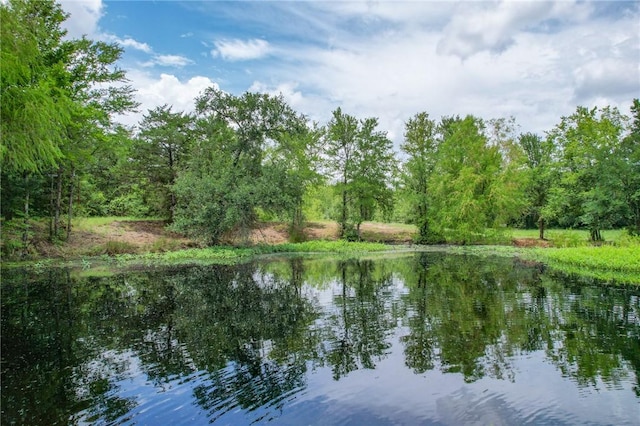 TRACT1 Jones Rd, College Station, TX 77845 - photo 4