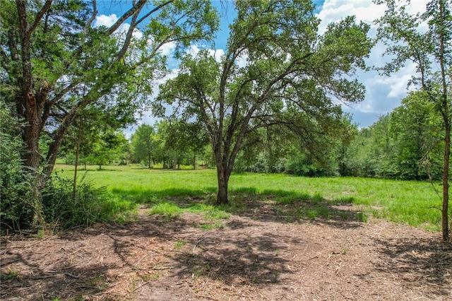 TRACT1 Jones Rd, College Station, TX 77845 - photo 9