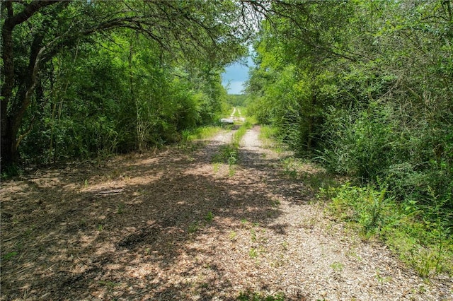 TRACT1 Jones Rd, College Station, TX 77845 - photo 15