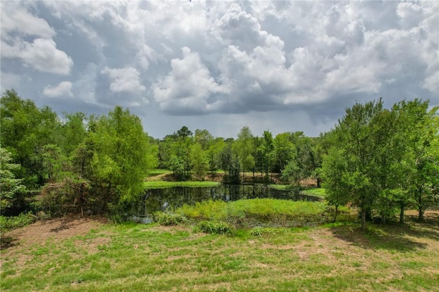 TRACT1 Jones Rd, College Station, TX 77845 - photo 12