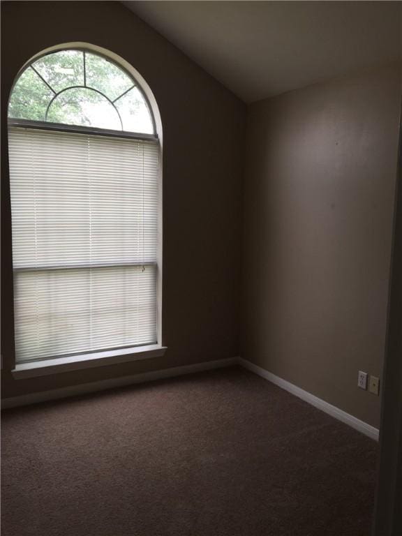 spare room with baseboards, lofted ceiling, and carpet floors