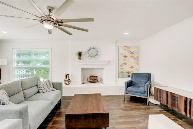 living room with a fireplace, ceiling fan, ornamental molding, and dark wood-type flooring