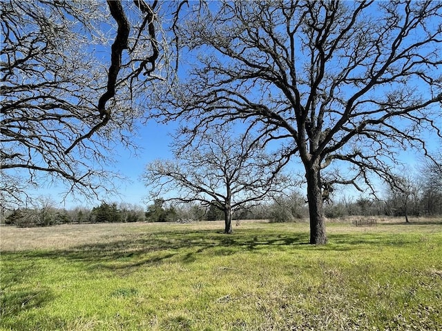 view of yard with a rural view