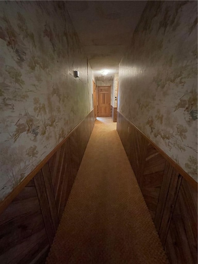 hall with wallpapered walls, a wainscoted wall, and light colored carpet