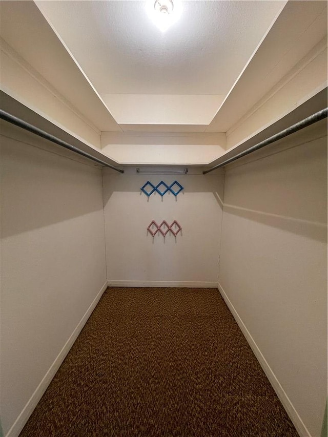 spacious closet featuring carpet flooring