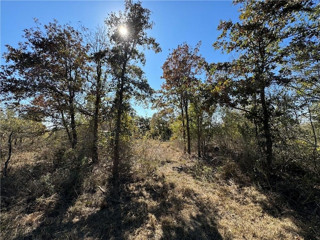 Listing photo 3 for 12907 County Road 164, Iola TX 77861