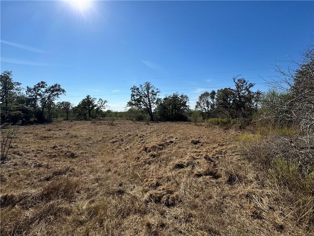 Listing photo 2 for 12907 County Road 164, Iola TX 77861