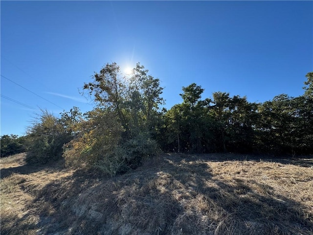 12907 County Road 164, Iola TX, 77861 land for sale