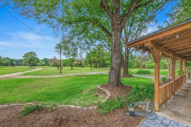 7000 Strickland Ln, Bryan, TX 77808 - photo 7