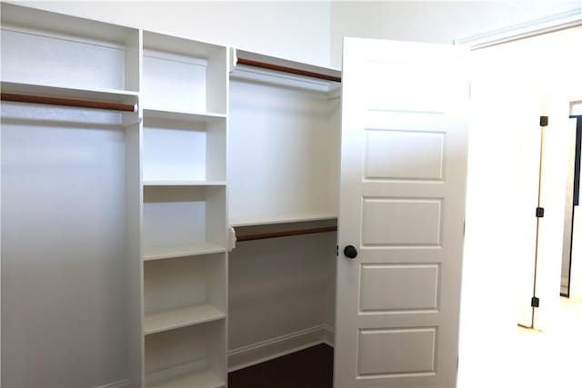 2123 Chestnut Oak Cir, College Station, TX 77845 - view of walk in closet