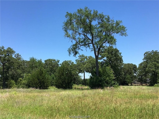 Listing photo 2 for 9984 Chelsea Dr, Iola TX 77861