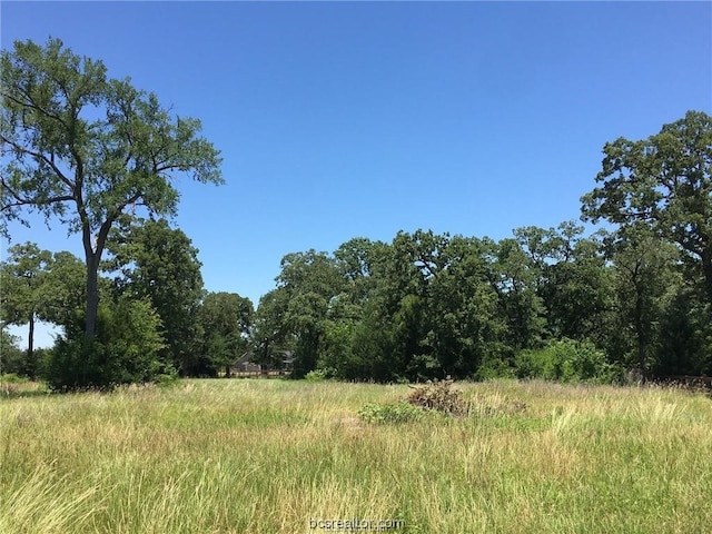 9984 Chelsea Dr, Iola TX, 77861 land for sale