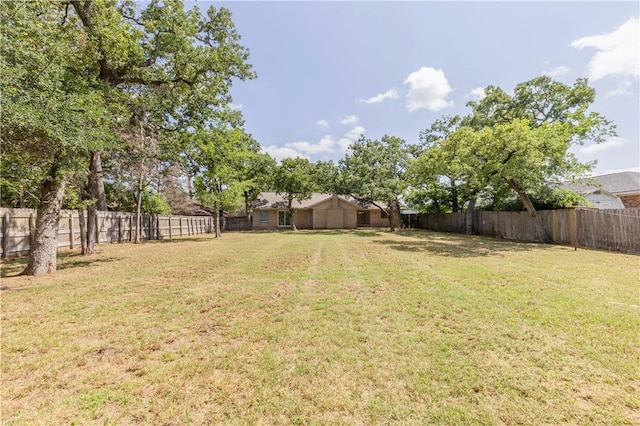 2008 Rayburn Ct, College Station, TX 77840 - view of yard