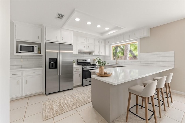 2008 Rayburn Ct, College Station, TX 77840 - kitchen with stainless steel appliances, a peninsula, a tray ceiling, tasteful backsplash, and recessed lighting