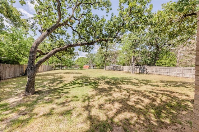 2008 Rayburn Ct, College Station, TX 77840 - view of yard with view of scattered trees