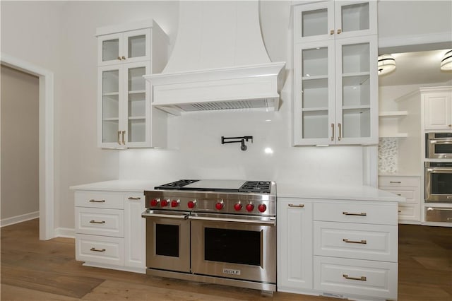 kitchen with appliances with stainless steel finishes, tasteful backsplash, custom exhaust hood, dark wood-type flooring, and white cabinetry