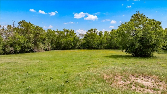 4269 Wilcox Ln, Bryan, TX 77808 - photo 36