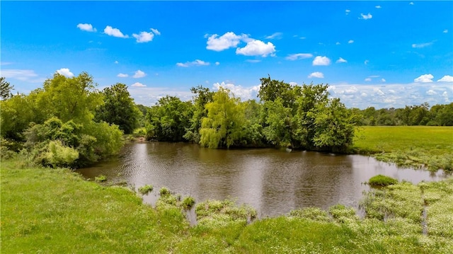 4269 Wilcox Ln, Bryan, TX 77808 - photo 42