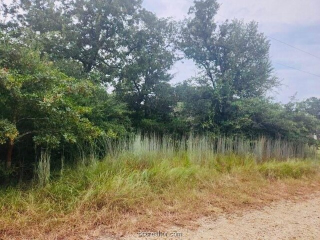 TBD Odin St, Somerville, TX 77879 - photo 5