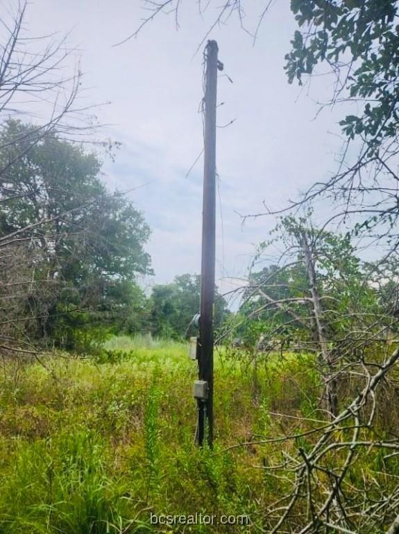TBD Odin St, Somerville, TX 77879 - photo 6