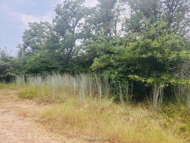 TBD Odin St, Somerville, TX 77879 - photo 7
