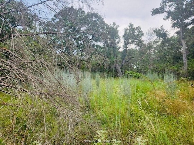 TBD Odin St, Somerville TX, 77879 land for sale