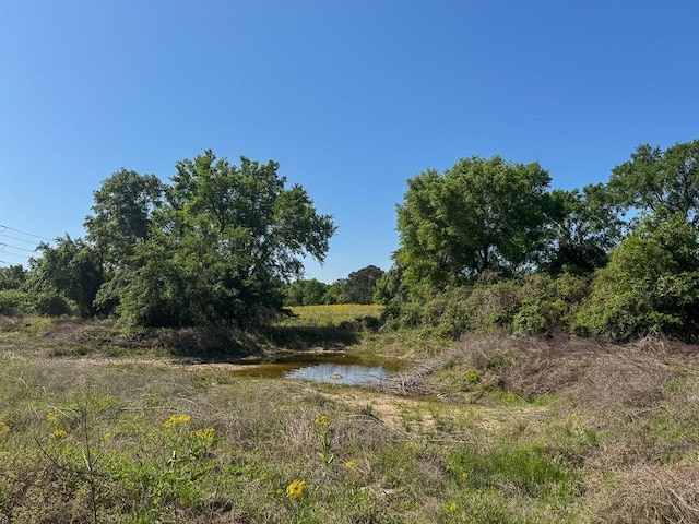 00034 County Road 155, Bedias, TX 77831 - photo 21