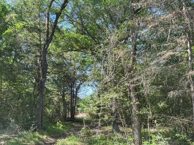 00034 County Road 155, Bedias, TX 77831 - photo 12