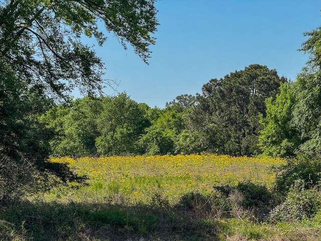 00034 County Road 155, Bedias, TX 77831 - photo 3