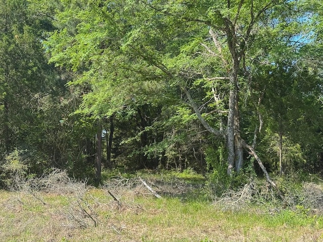 00034 County Road 155, Bedias, TX 77831 - photo 11
