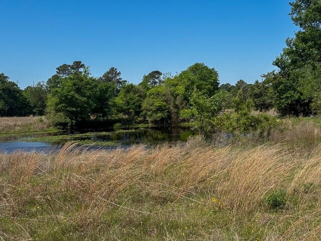 00034 County Road 155, Bedias, TX 77831 - photo 5