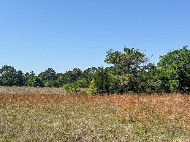 00034 County Road 155, Bedias, TX 77831 - photo 15