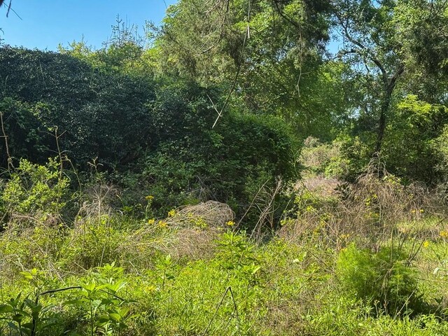 00034 County Road 155, Bedias, TX 77831 - photo 22