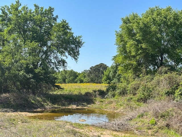 00034 County Road 155, Bedias, TX 77831 - photo 20