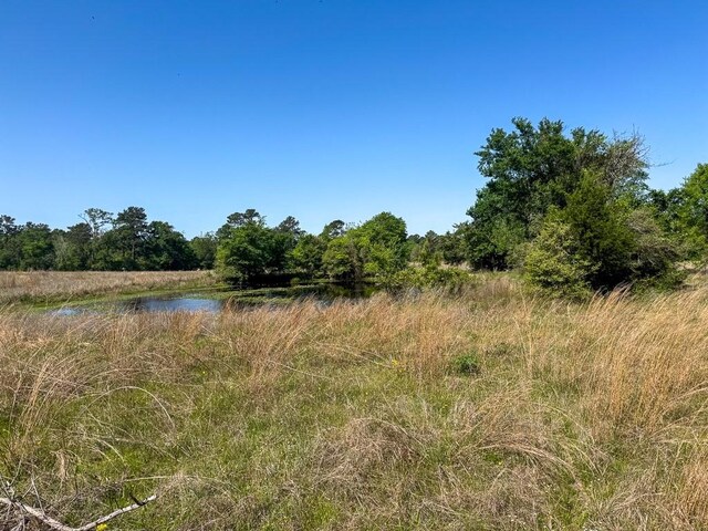00034 County Road 155, Bedias, TX 77831 - photo 6