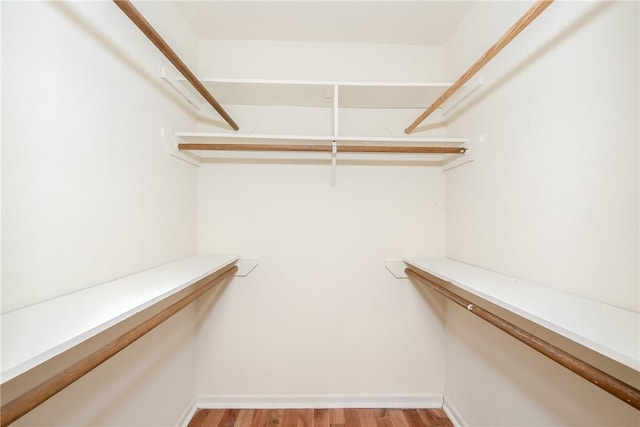 spacious closet featuring light hardwood / wood-style flooring