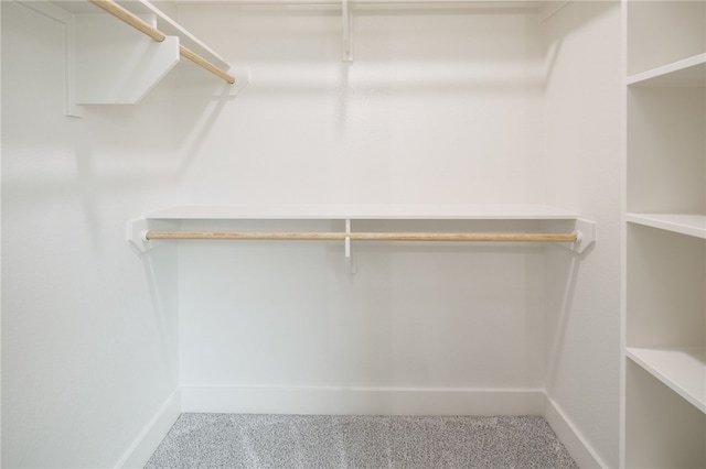 2802 Spector Dr, Bryan, TX 77808 - walk in closet featuring carpet floors