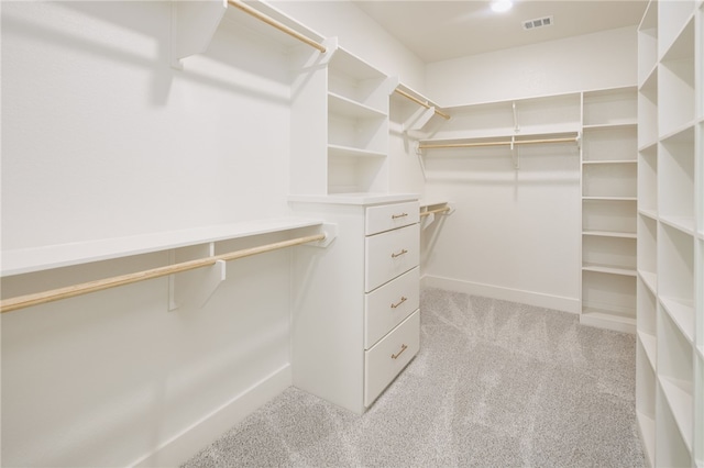 2802 Spector Dr, Bryan, TX 77808 - walk in closet with light colored carpet