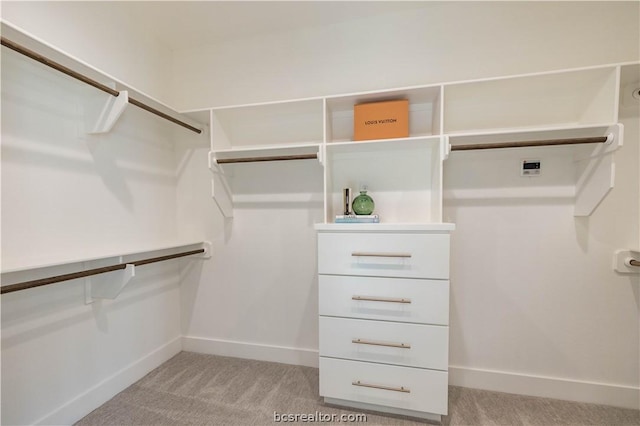 spacious closet with light colored carpet